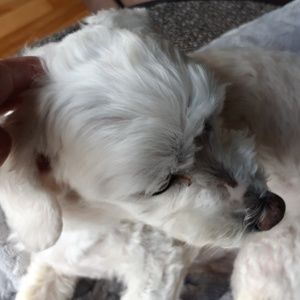 Meet your Posher, Kathy